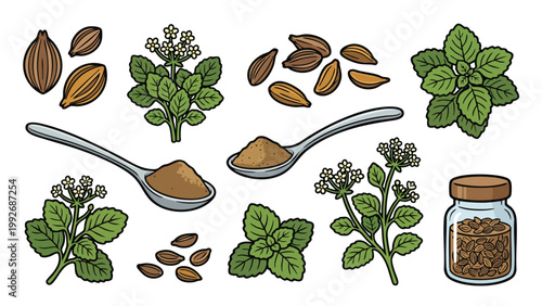 Ajwain Plant Seeds Powder and Leaves Illustration Set with Spoon and Jar Herbal Spice Collection