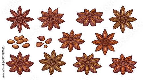 Star Anise Pods and Seeds Illustration Set Aromatic Spice Botanical Collection