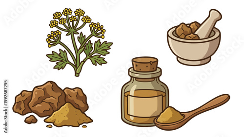 Asafoetida Hing Resin Powder Plant and Mortar Illustration Set Ayurvedic Spice Collection