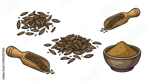 Cumin Seeds and Powder in Scoop Hand Drawn Spice Illustration Set