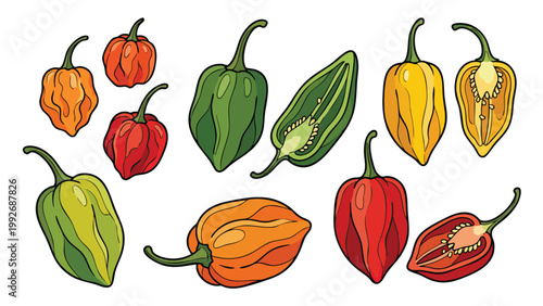 Habanero Chili Pepper Set Hand Drawn Spicy Capsicum Collection