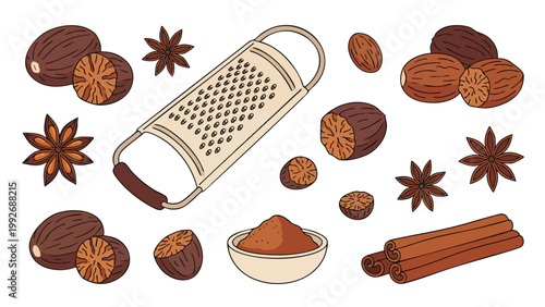 Hand Drawn Nutmeg and Spices Illustration Set