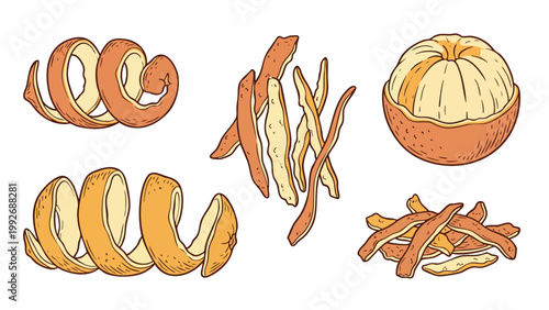 Hand Drawn Orange Peel and Citrus Zest Illustration Set