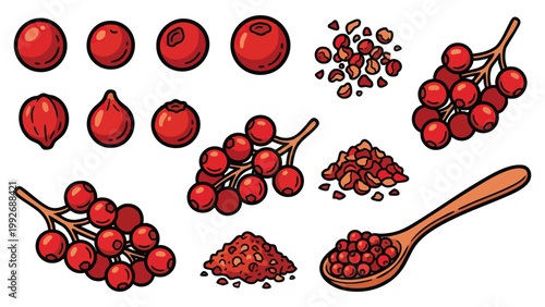 Hand Drawn Red Peppercorns and Pink Pepper Illustration Set