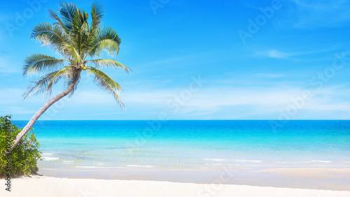 Sea beach landscape, paradise tropical island, beautiful exotic nature, turquoise ocean water, green coconut palm tree, white sand, blue sunny sky, summer holidays, vacation, travel banner