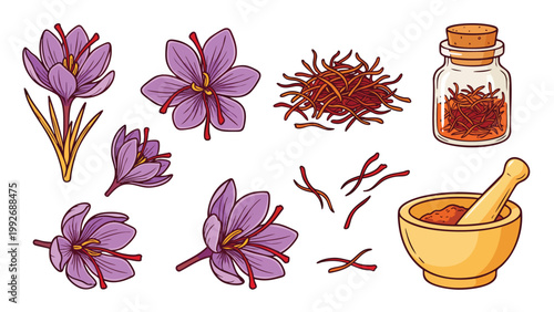 Hand Drawn Saffron Flowers and Spice Threads Illustration Set