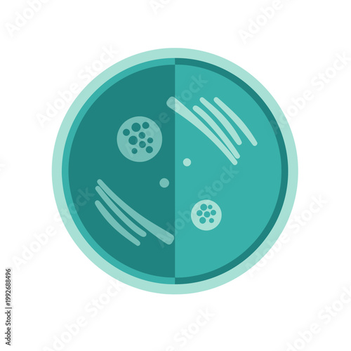 Stylized flat illustration of a petri dish with bacterial growth patterns