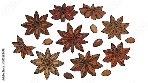 Star Anise Spice Set Illustration with Whole and Seeds
