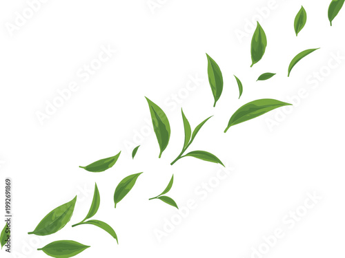 Green Leaves Flying in Dynamic Composition for Nature Design, Eco Concept, Botanical Illustration, Fresh Environment Graphics, and Organic Decorative Elements