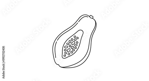 Papaya half, line art illustration, isolated on white background