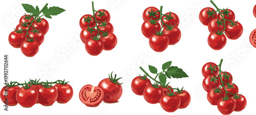 Cherry tomato vector set with fresh red tomatoes on vine sliced pieces organic vegetable food illustration collection isolated