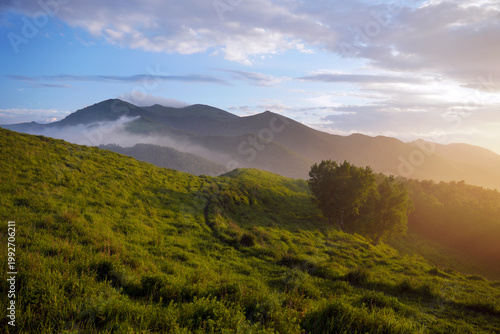 Beautiful mountain landscape with green grass and misty hills in the distance