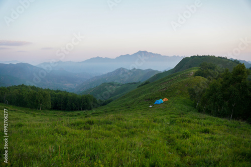 Obraz na plátně Peaceful camping scene on a green mountain at dawn