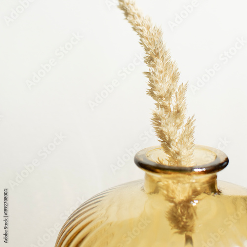 Amber glass vase close up with dried grass stem minimal decor composition modern interior styling neutral aesthetic wall art print poster mockup branding template cozy lifestyle background