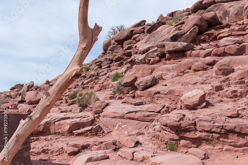 Untamed Beauty at the Edge: Rustic Authentic Desert Textures of the Hualapai Reservation, Grand Canyon West