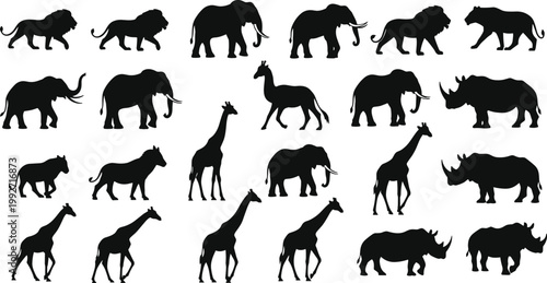African Wildlife Safari Animal Silhouette Vector Set Including Lion Elephant Giraffe Rhino and Tiger Profiles for Nature Conservation Zoo and Travel Design Projects
