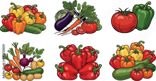 Fresh vegetables collection with peppers tomatoes carrots and eggplant, organic farm produce set, healthy food vector illustration