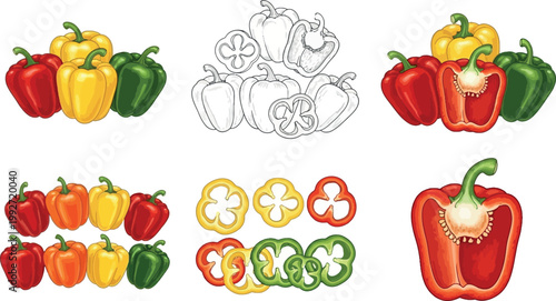 Bell pepper collection with whole and sliced capsicum, colorful vegetables set in red yellow and green, vector illustration