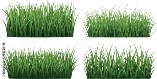 Realistic green grass collection with different lawn patches, fresh nature elements for landscaping design, detailed vector illustration set