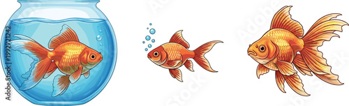 Goldfish in aquarium bowl and swimming fish set, decorative ornamental pet fish with flowing fins detailed vector illustration