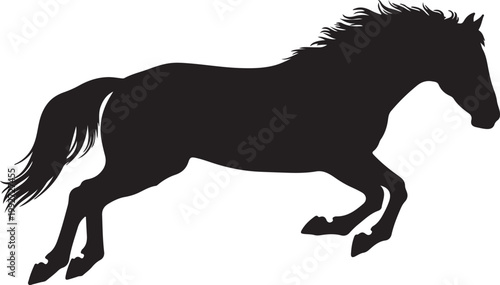 Horse Silhouette Vector