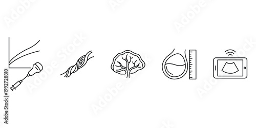 Pregnancy monitoring and fetal development collection featuring umbilical cord placenta amniotic fluid measurements and mobile ultrasound diagnostic icon vector illustration.