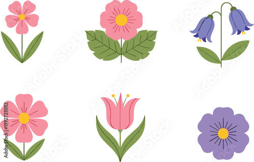 Colorful flower collection with various floral plants and leaves in decorative vector illustration style