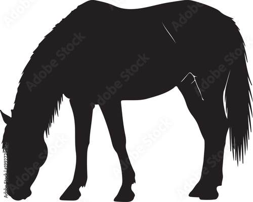 Horse Silhouette Vector