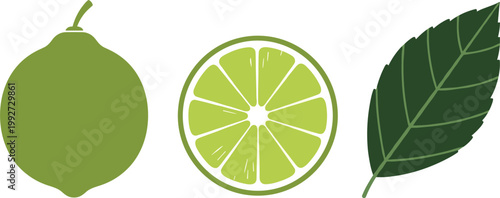 Lime and lemon citrus fruit vector with fresh green sliced juicy lime isolated on white background