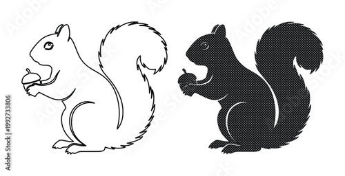Minimalist squirrel vector set, black silhouette and line art squirrel holding acorn, forest animal icons for nature branding and logo design