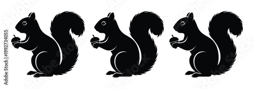 Black squirrel silhouette icons holding acorns, set of 3 minimalist rodent vector illustrations, forest animal profile graphics for logos