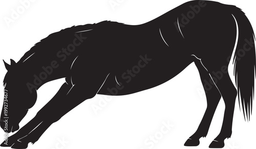 Horse Silhouette Vector