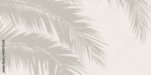 Foto Soft shadow of tropical palm leaves cast on light textured wall, forming a calm natural abstract background with gentle contrast