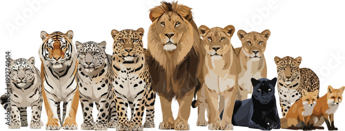 Big Cats Collection with Lion Tiger Leopard Panther and Cheetah Realistic Wildlife Animals Vector Illustration Set