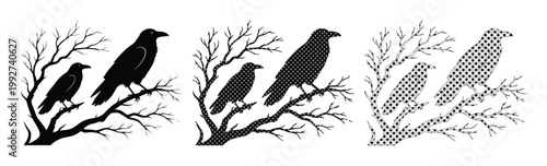 Black raven silhouette set, crow birds perched on bare winter branches, dark gothic nature vector collection for Halloween and spooky design