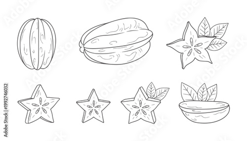 Foto Hand drawn star fruit collection whole sliced and in bowl starfruit carambola tr