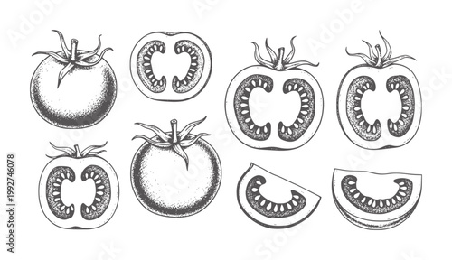 Hand drawn tomatoes whole and sliced in vintage style food fresh
