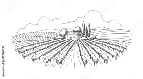 Of a vineyard with a farmhouse and rolling hills under clouds rural landscape agriculture