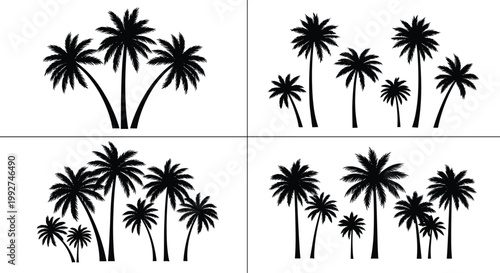 Palm tree silhouettes set tropical summer beach island nature vector black collection decorative design elements