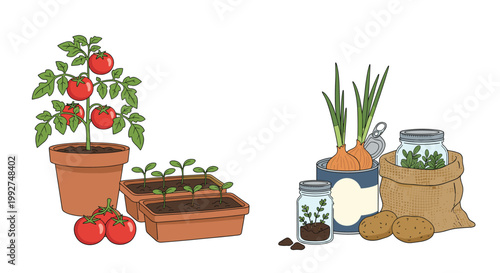 Collection of home gardening plants and vegetables including tomatoes, seedlings, potatoes, and herbs growing in pots and recycled containers.