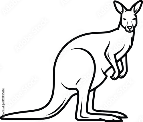 Kangaroo Hand Drawn Vector Black and White Line Art Illustration