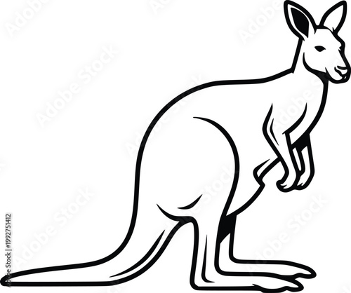 Kangaroo Hand Drawn Vector Line Art Black and White Australian Animal Illustration