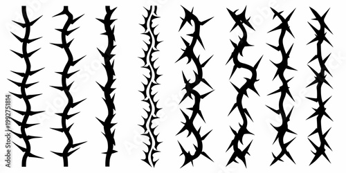Black silhouettes of barbed wire and thorny branches on white background