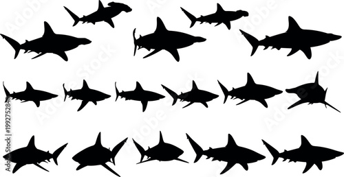Shark silhouette collection with different species poses marine predator animals isolated vector illustration set