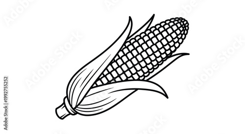 A detailed line drawing depicts a single ear of corn with husk