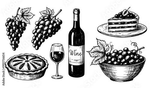 Textured grape ink drawing collection with wine cake pie and fruit sketch vector illustration