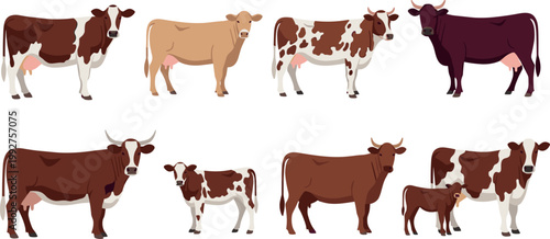 Cattle Breeds Collection Vector Illustration with Cows Bulls and Calves Farm Animals