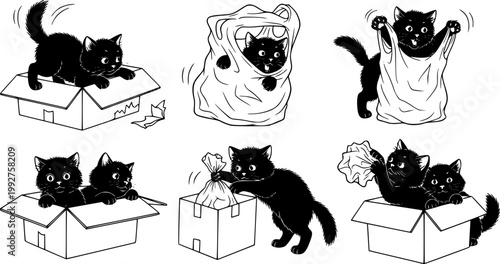 Black cats play with cardboard boxes plastic and shopping bags. Cat is misbehaving and playing around, crazy funny fluffy kittens racy vector clipart
