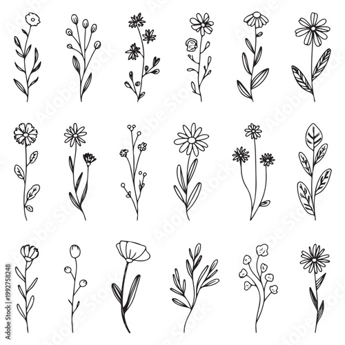 Hand-Drawn Flowers and Botanical Elements Minimal Black Line Art Illustration Set
