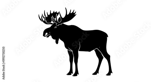 Bull moose silhouette with large antlers vector illustration side view isolated wild woodland.